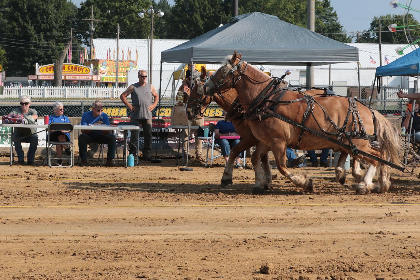 2026 180th Muskingum County Fair 1182