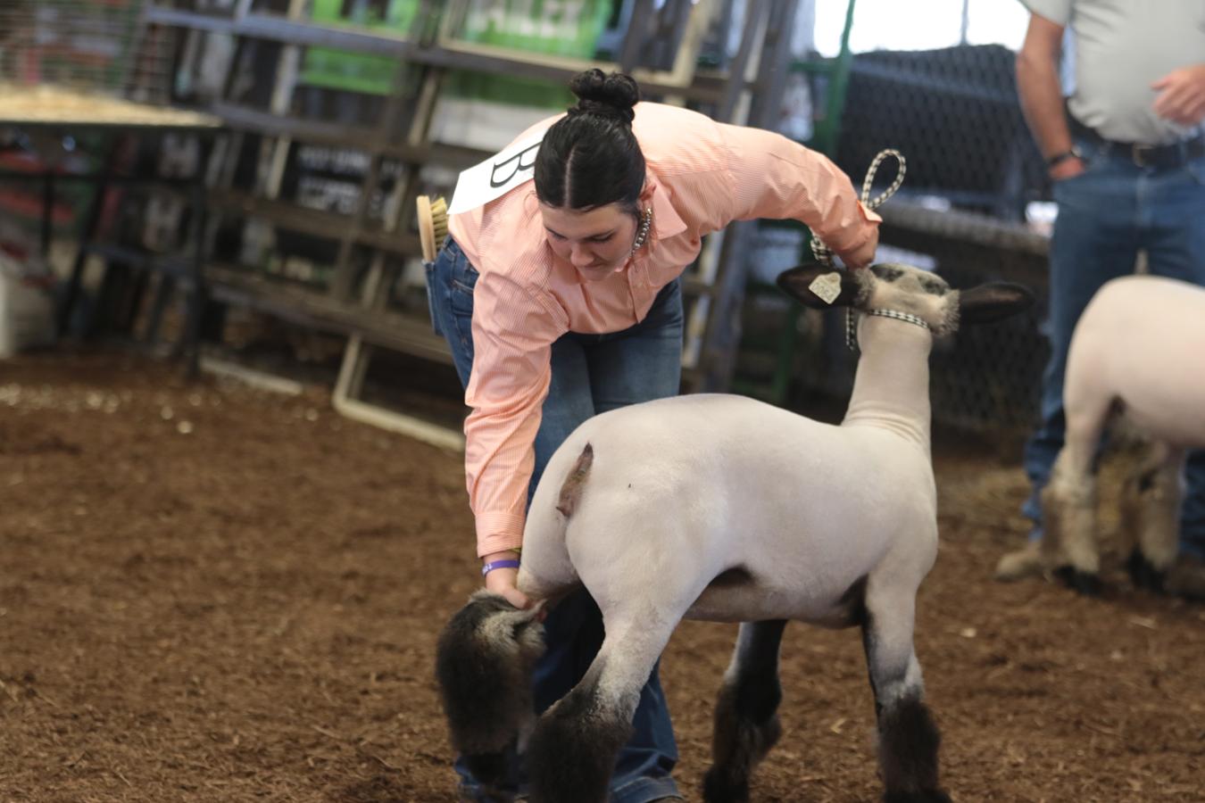 2026 180th Muskingum County Fair 849